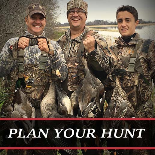 Guided duck hunt experience in Stuttgart, Arkansas