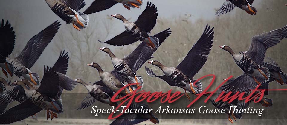 Duck hunting sunrise in Stuttgart, Arkansas